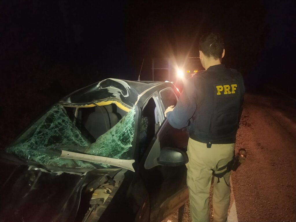 Motorista fica ferido após atropelar cavalo na BR- 287 Faixa de São Pedro