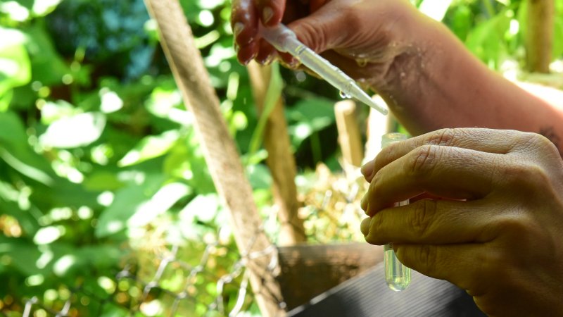 Santa Maria realiza mobilização de combate ao Aedes aegypti neste sábado (8)