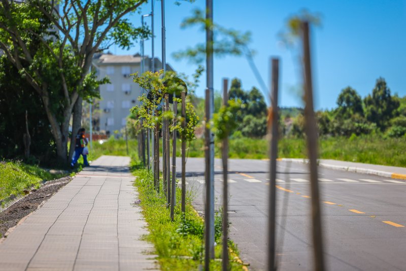 Está aberto o período de consulta pública do novo decreto do Caminhe Legal