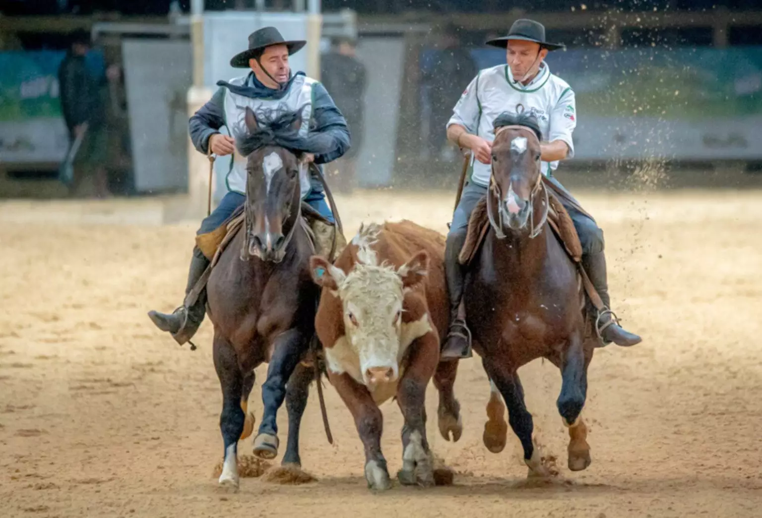 47ª Expointer começa neste sábado com foco na retomada e na superação no campo