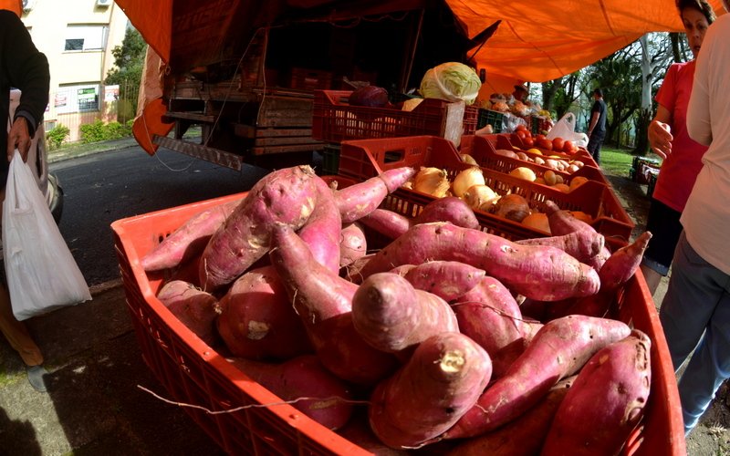 Santa Maria tem diversas opções de feiras com produtos da agricultura familiar até sábado (27)