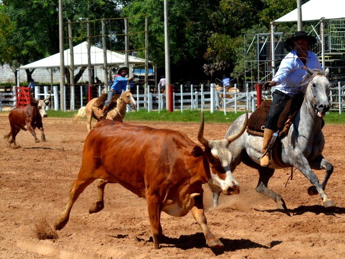 Rodeio Campeiro em homenagem ao aniversário do município acontece neste final de semana em Santa Maria