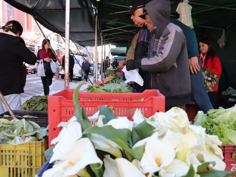 Prefeitura divulga as feiras que ocorrerem até sábado, 1º de novembro, para promover a agricultura familiar