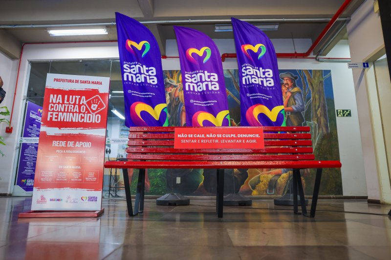 Prefeitura de Santa Maria institui a Coordenadoria da Mulher para enfrentamento da violência de gênero