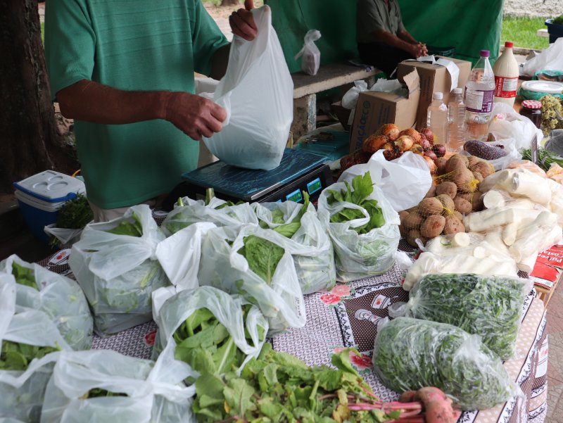 Com apoio da Prefeitura, várias feiras da agricultura familiar ofertam produtos coloniais e artesanato nesta semana