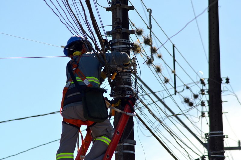 Mutirão para retirada de fios em desuso já recolheu mais de 12 toneladas de fios em 3 anos em Santa Maria