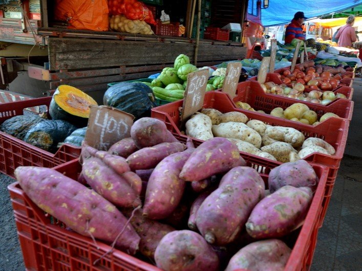 Feiras promovidas pela Prefeitura durante a semana disponibilizam produtos da agricultura familiar