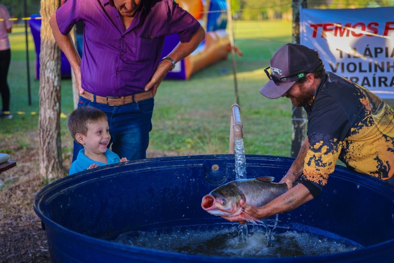Festa do Peixe, Pão e Vinho, no Distrito de Boca do Monte, reúne mais de 7 mil pessoas