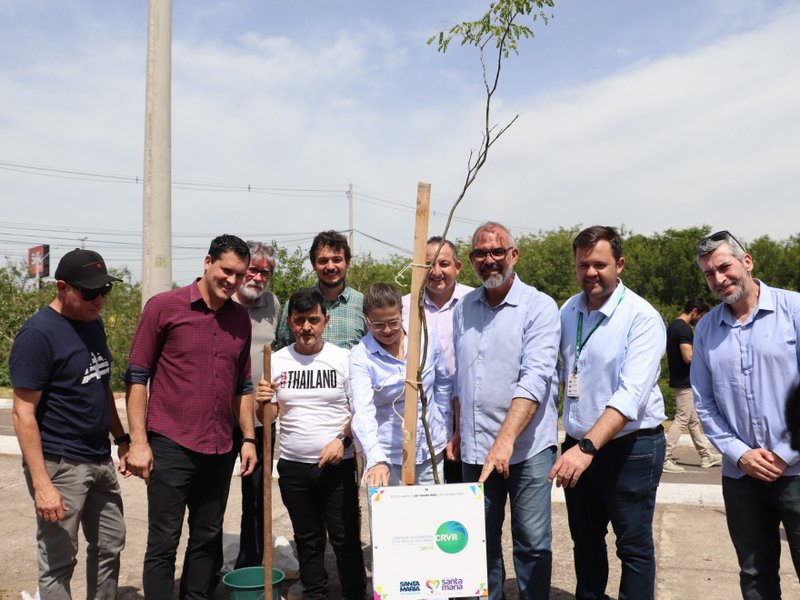 Decreto que estabelece regras para arborização urbana do município é publicado pela Prefeitura de Santa Maria
